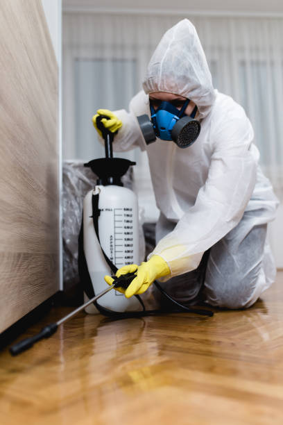 Best Fumigation Services  in Montgomery, TX